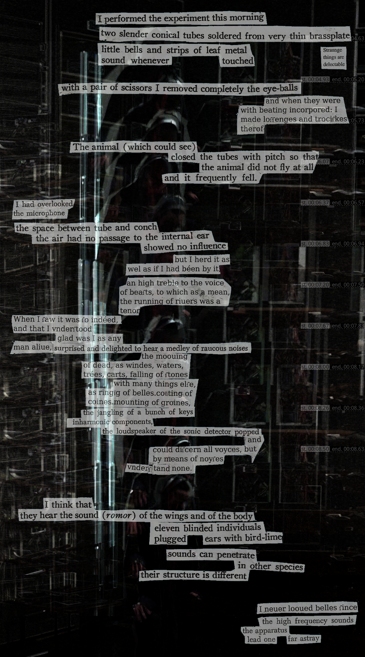 
        I performed the experiment this morning
        two slender conical tubes soldered from very thin brassplate
        little bells and strips of leaf metal
        sound whenever  touched  [straunge things are delectable]
        with a pair of scissors I removed completel the eye-balls
        and when they were
        with beating incorpored: I
        made a lossenges and trociskes
        therof
        The animal (which could see)
        closed the tubes with pitch so that
        the animal did not fly at all
        and it frequently fell.
        I had overlooked the microphone
        the space between tub and conch
        the air had no passage to the internal ear
        showed no influence
        but I heard it as
        wel  as if I had been by it
        an high treble to the voice
        of beasts, to which as a mean,
        the running of riuers was a
        tenor
        When I saw it was so indeed
        and that I vnderstood
        glad was I as any
        man aliue, surprised and delighted to hear a medley of raucous noises
        the moouing
        of dead, as windes, waters,
        trees, carts, falling of stones,
        with many things else,
        as ringing of belles, counting of
        coines, mounting of groines
        the jangling of a bunch of keys
        inharmonic components,
        the loudspeaking of the sonic detector popped
        and
        could discern all voyce, but
        by means of noyses
        vnderstand none.
        I think that
        they hear the sound (romor) of the wings and of the body
        eleven blinded individuals
        plugged ears with bird-lime
        sounds can penetrate
        in other species
        their structure is different
        I neuer looued belles since
        the high frequency sounds
        the apparatus
        lead one far astray
        